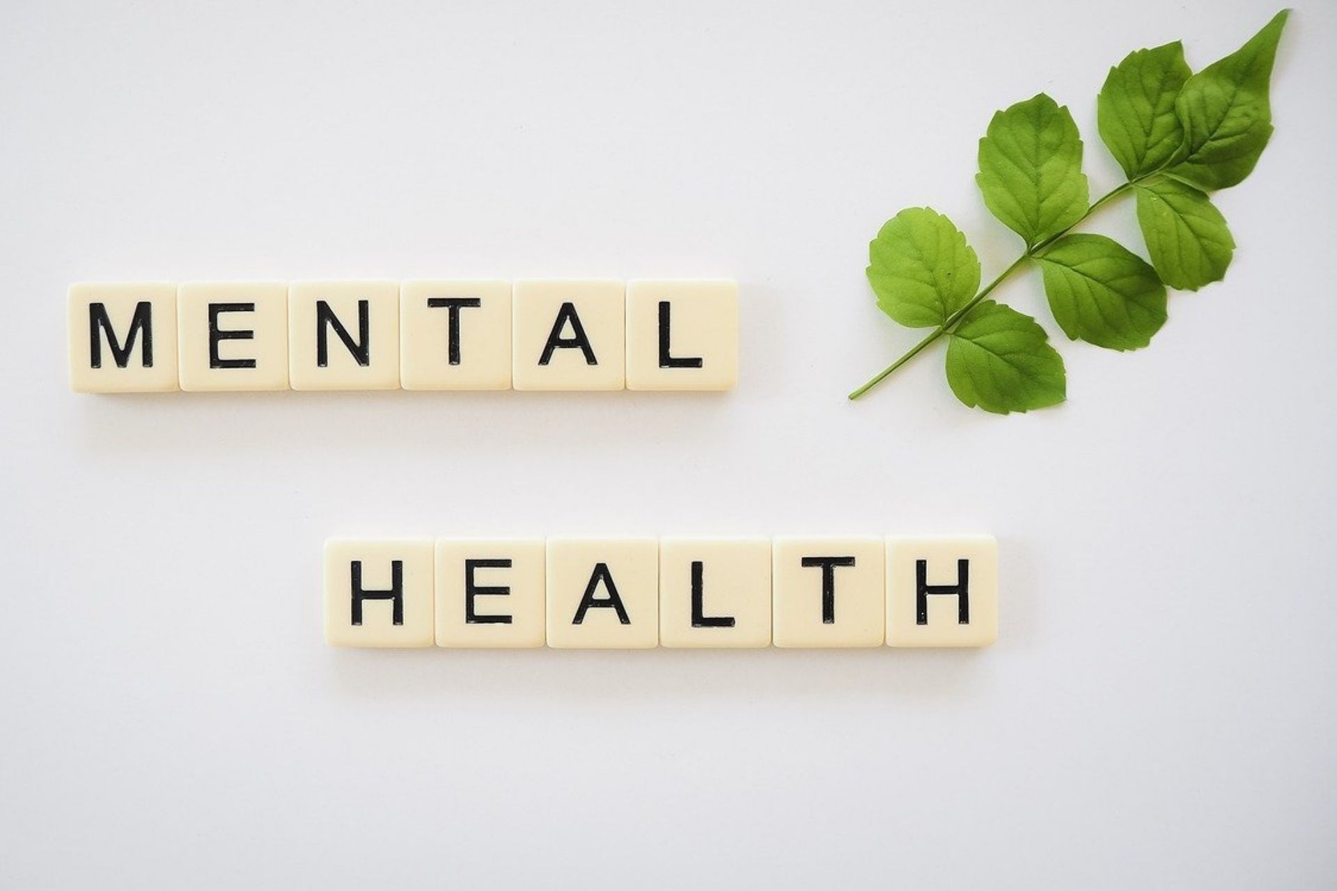 Prioritizing Mental Health The Works Counseling Center