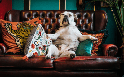 Therapy: What to Expect