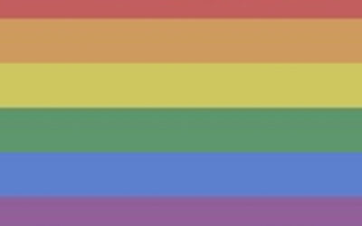 The Closet Has Echoes: When Homophobia Sounds Like Projection