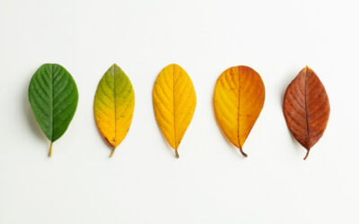 The Paradox of Change